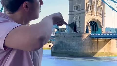 Everything is CAKE | London Bridge Turning into Cake