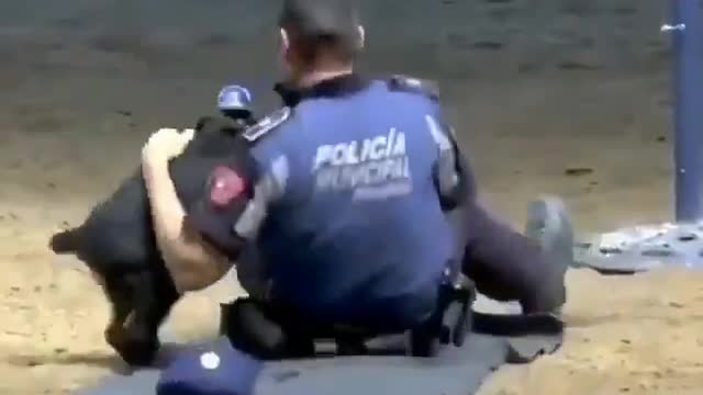 Amazing!!!! Rescue Dog Giving CPR to a Dying Man