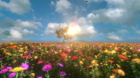 Piano music|"stronger together"