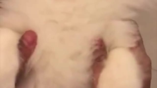 Very talented in acting