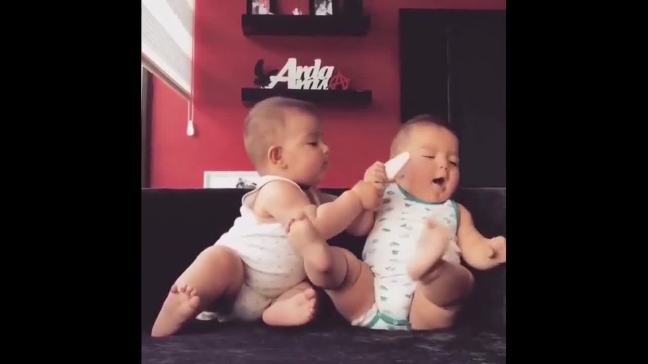 Cute twin babies