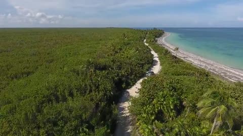 Sea waves & beach drone video