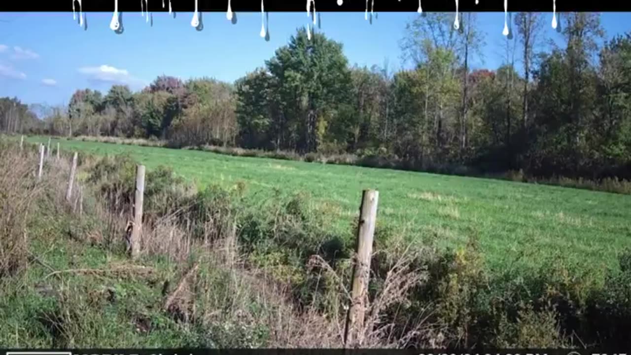 NORTHERN BORDER NIGHTMARE: Trail Cam Footage of Illegal Immigrants From NY-21 Property On The Border