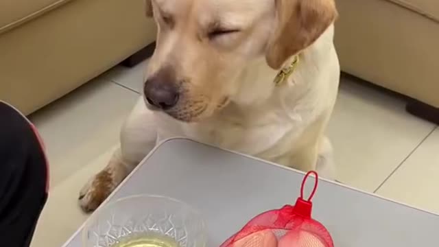 --_ Không có lần thứ 3 đâu nhé Boss --(1080P_HD)