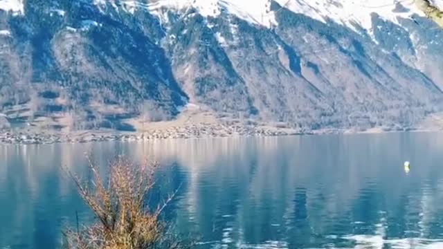 Beautiful lakeside