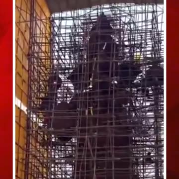 బెజవాడలో 72 అడుగుల మట్టి బొజ్జ గణపయ్య #vinayaka #vijayawada #viral #short | FBTV NEWS