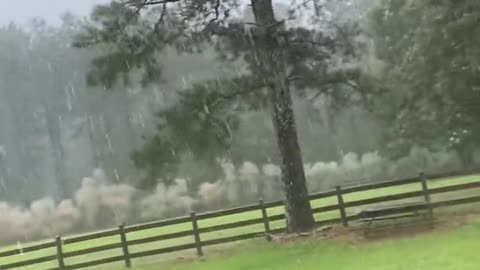 Lightning Strikes Electric Fence