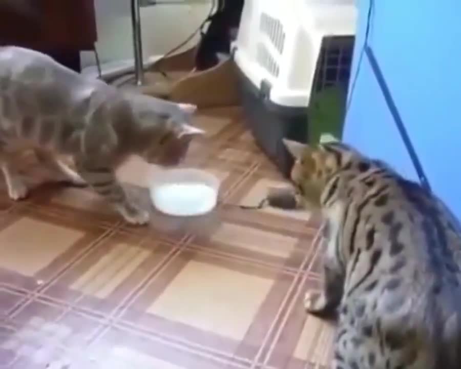 mutual assistance is priceless