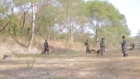 Salaknib 2019 K9 Training B-Roll TARLAC, LUZON, PHILIPPINES