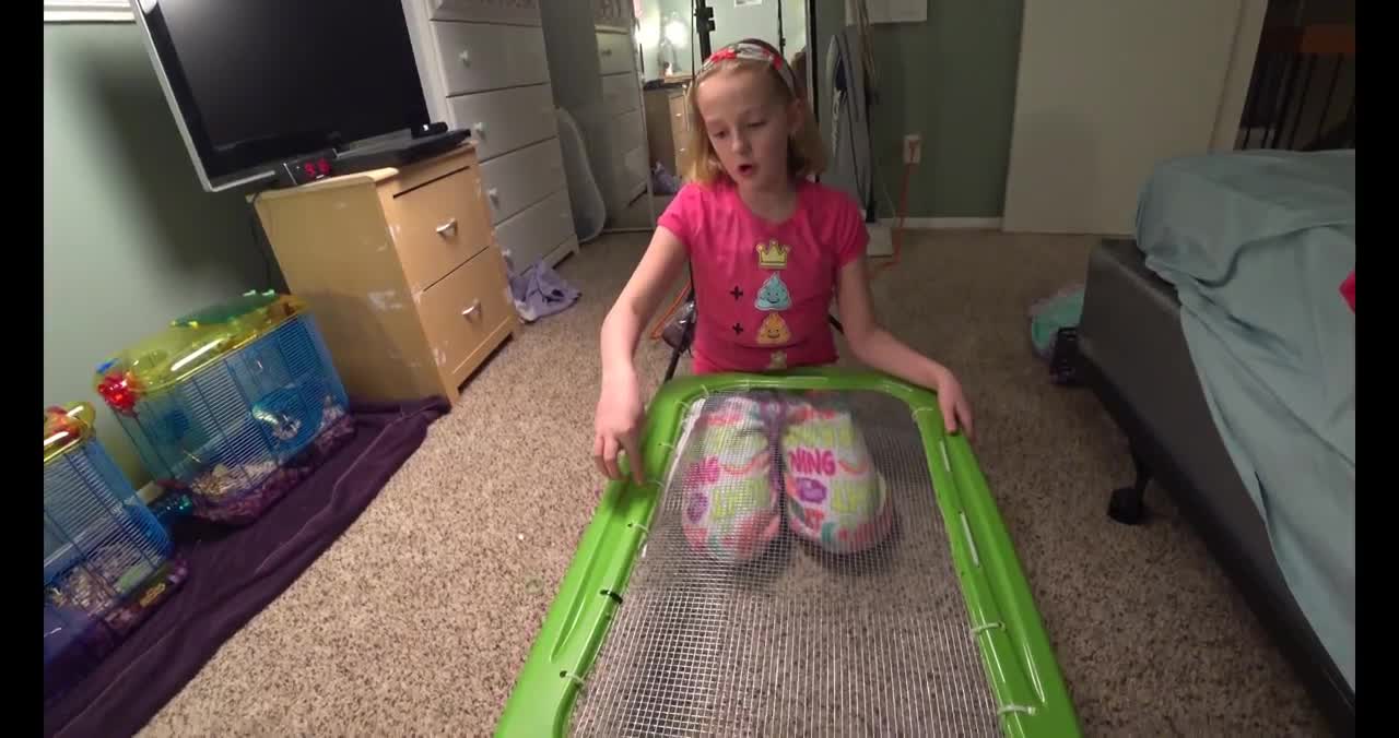 My Hamster Cage & Home Habitat ~ You Can TOO!
