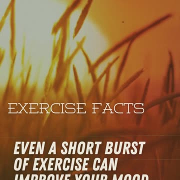 Exercise Facts