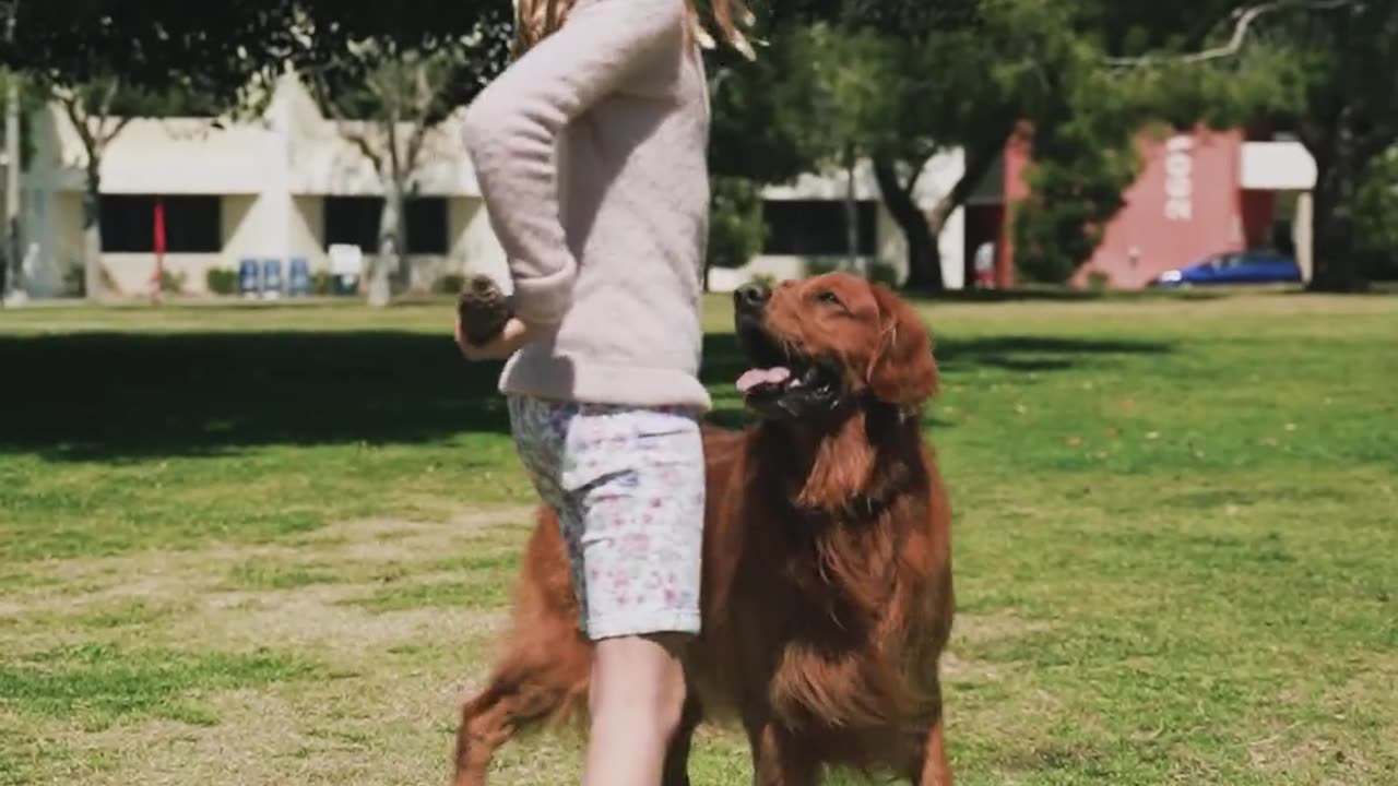 A girl playing with dog looking so nice