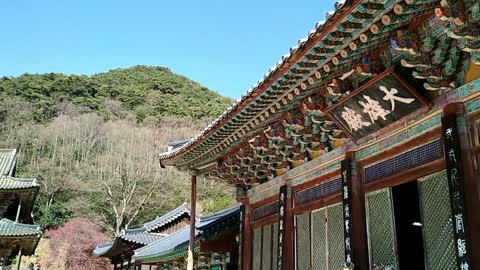 huge temple in south korea