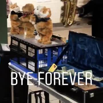 Bye forever man plays sax stuffed toys dance