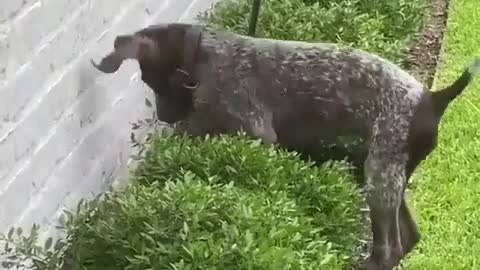 Leap of Faith