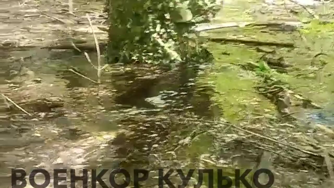 Průzkum ruských jednotek nedaleko od Antomovského mostu