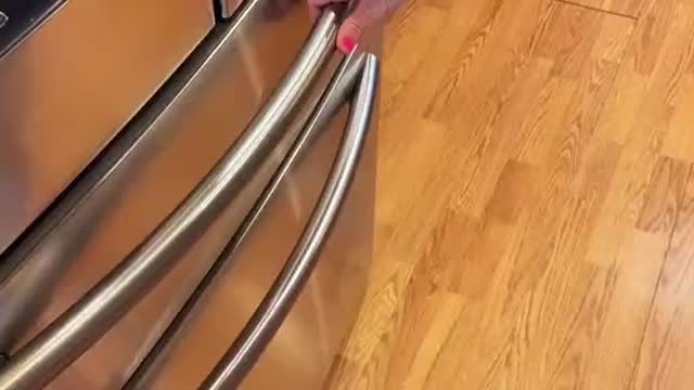 Wow superb design of domestic freedge