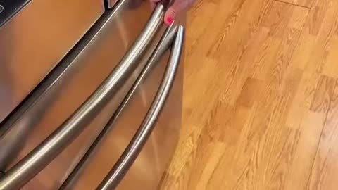 Wow superb design of domestic freedge