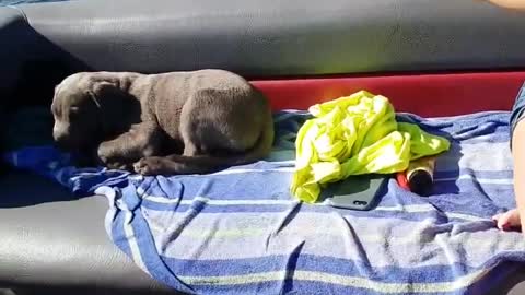 Guy drinking from bottle of alchohol falls backwards out of moving boat