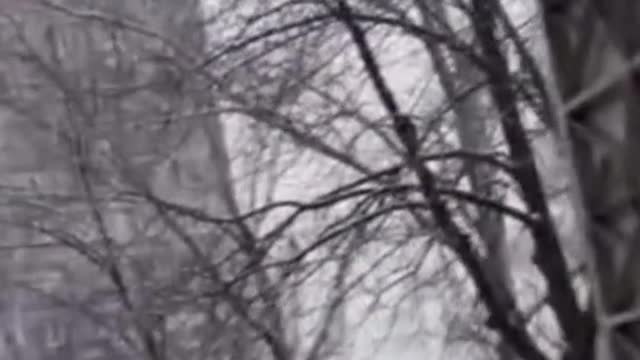 A woman and child hospital in Mariupol was bombed and pregnant women were forced to flee