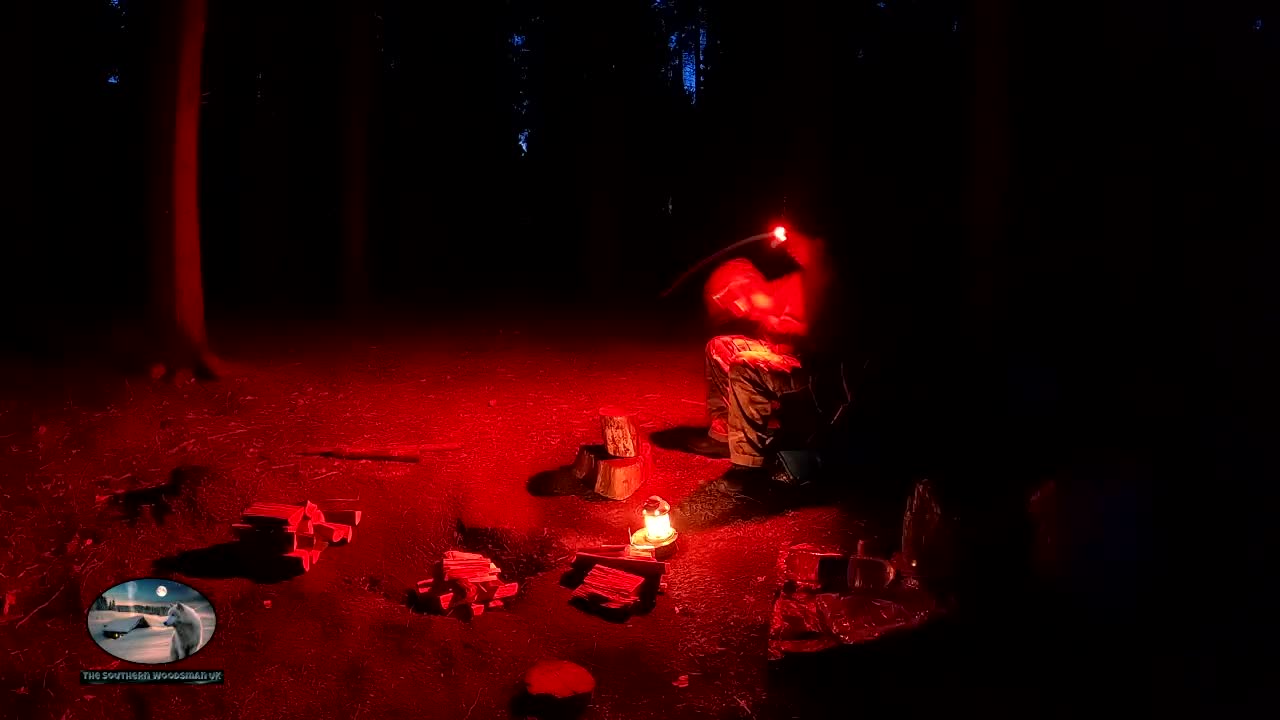 Woodland wildcamping by the campfire