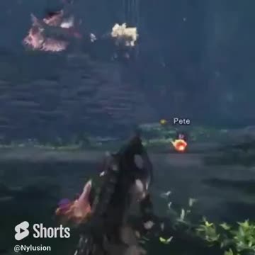 A True Super Saiyan! #shorts #funny #monsterhunter #nylusion