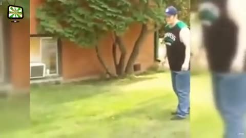 funny vids