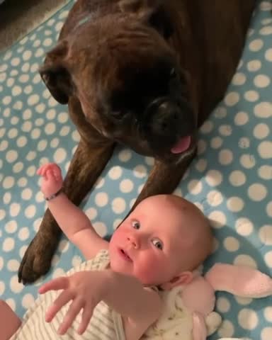 Nanny's dog is very happy to take care of her little sister