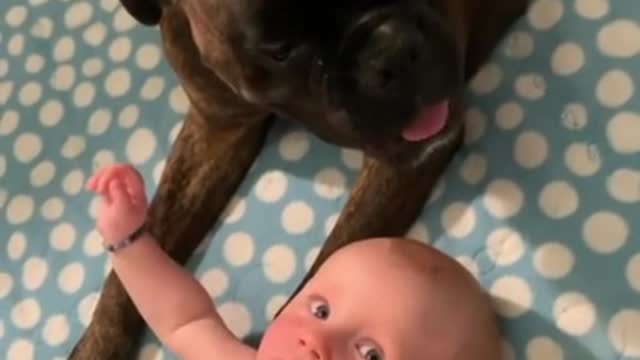 Nanny's dog is very happy to take care of her little sister