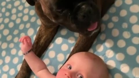 Nanny's dog is very happy to take care of her little sister