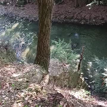 Sweet arrow lake park part5