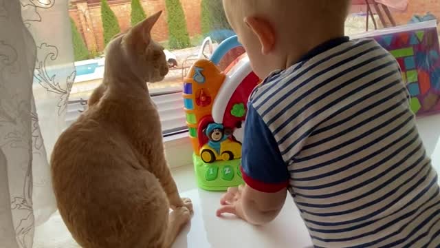 Baby and cat playing with toys at home