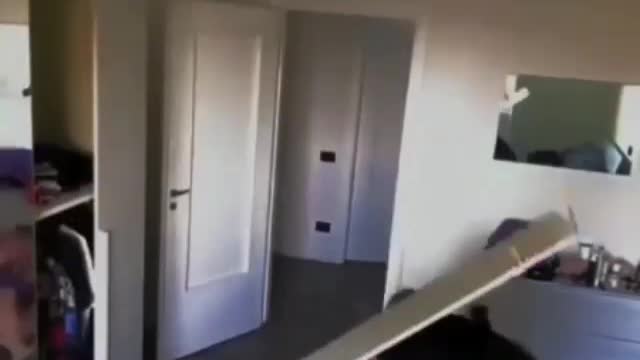 That's show show must Go on funny videos