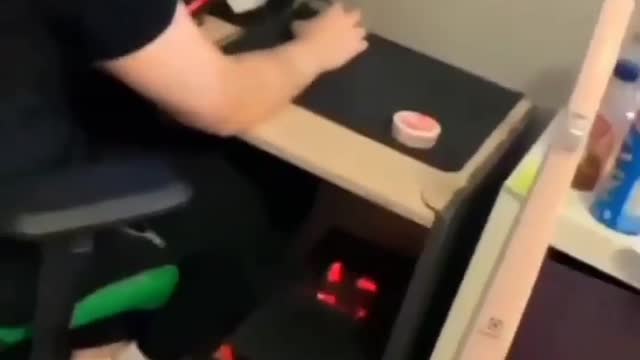 My cat turned out the computer while I was playing😂💔