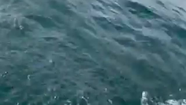 Amazing Ocean Fishing Video#shorts