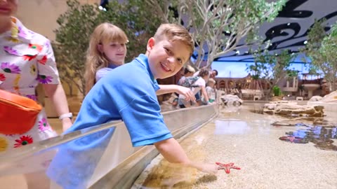 Diana and Roma in sea world