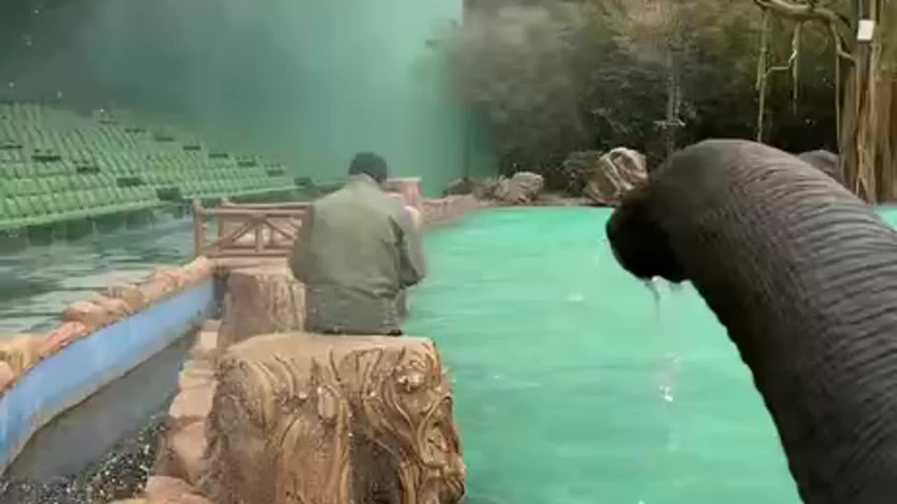 Elephant Prank