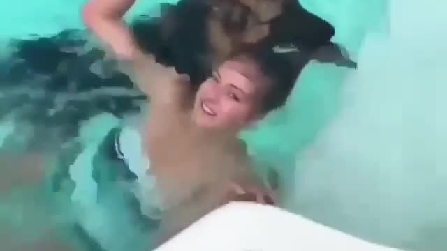 Funny dogs video trying to save a women in swimmingpool