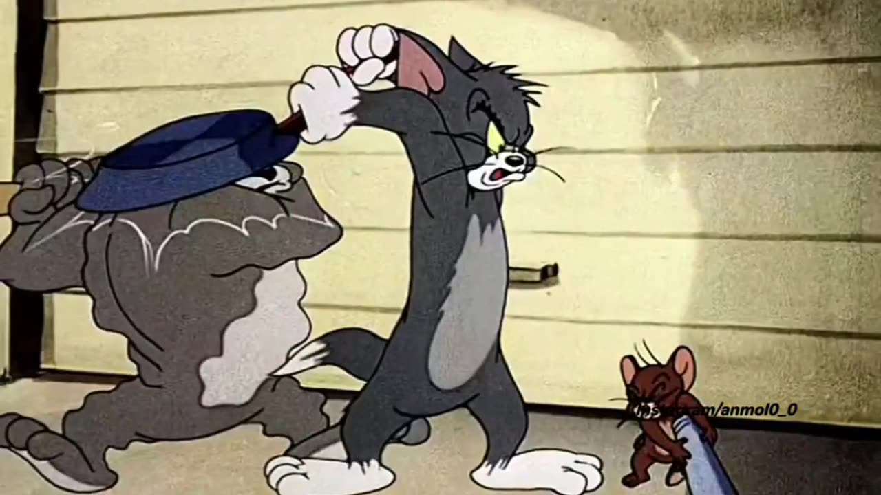 "Tom and Jerry: Mischief Galore!"