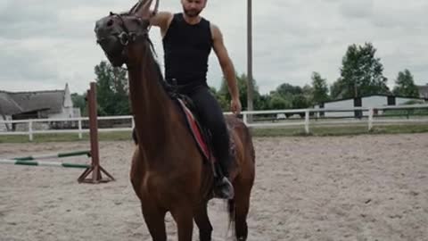 Horse makes hilarious face while scratching his head