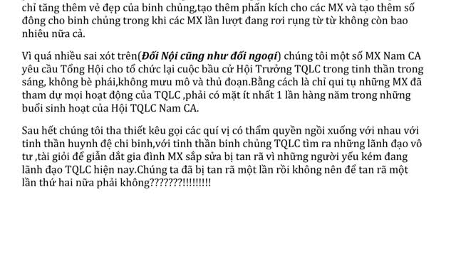 Những Tiếng Nói Trung Thực Của Mũ Xanh-Ai Đã Gây Chia Rẻ Hội Đoàn