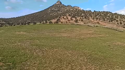 Beautiful view