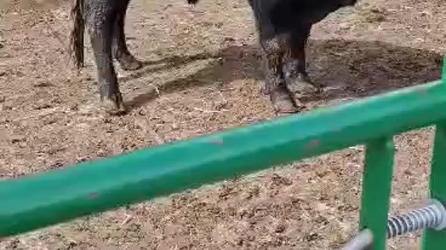 TODAYS WORK COLLEAGUES