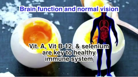 Egg Health Benefits Health Tips