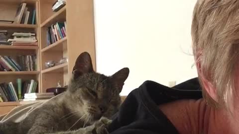 Cat giving owner back massage