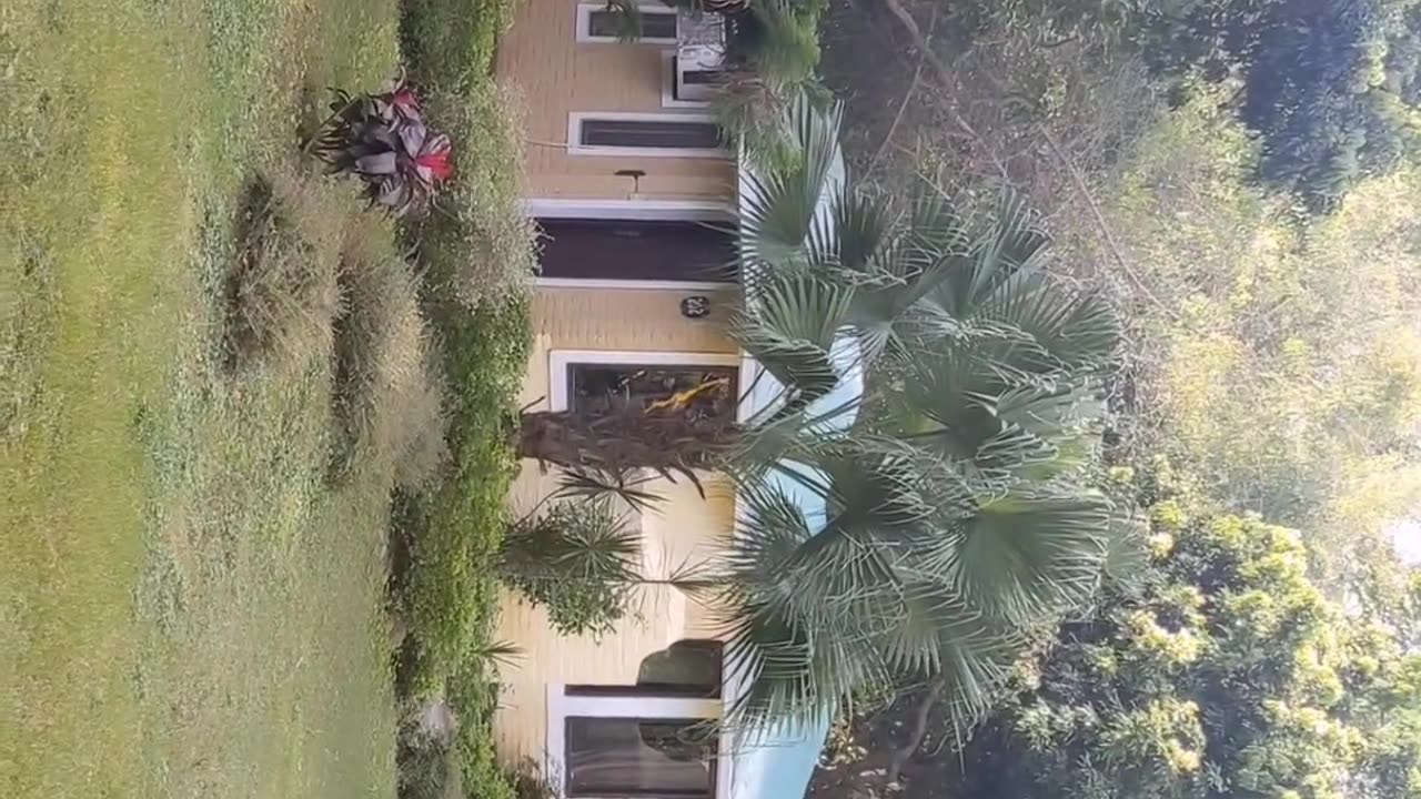 Best Resort in Jim Corbett — Tejomaya Jungle Retreat