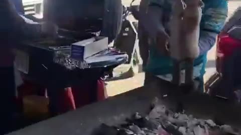NYC Has Become The Third World