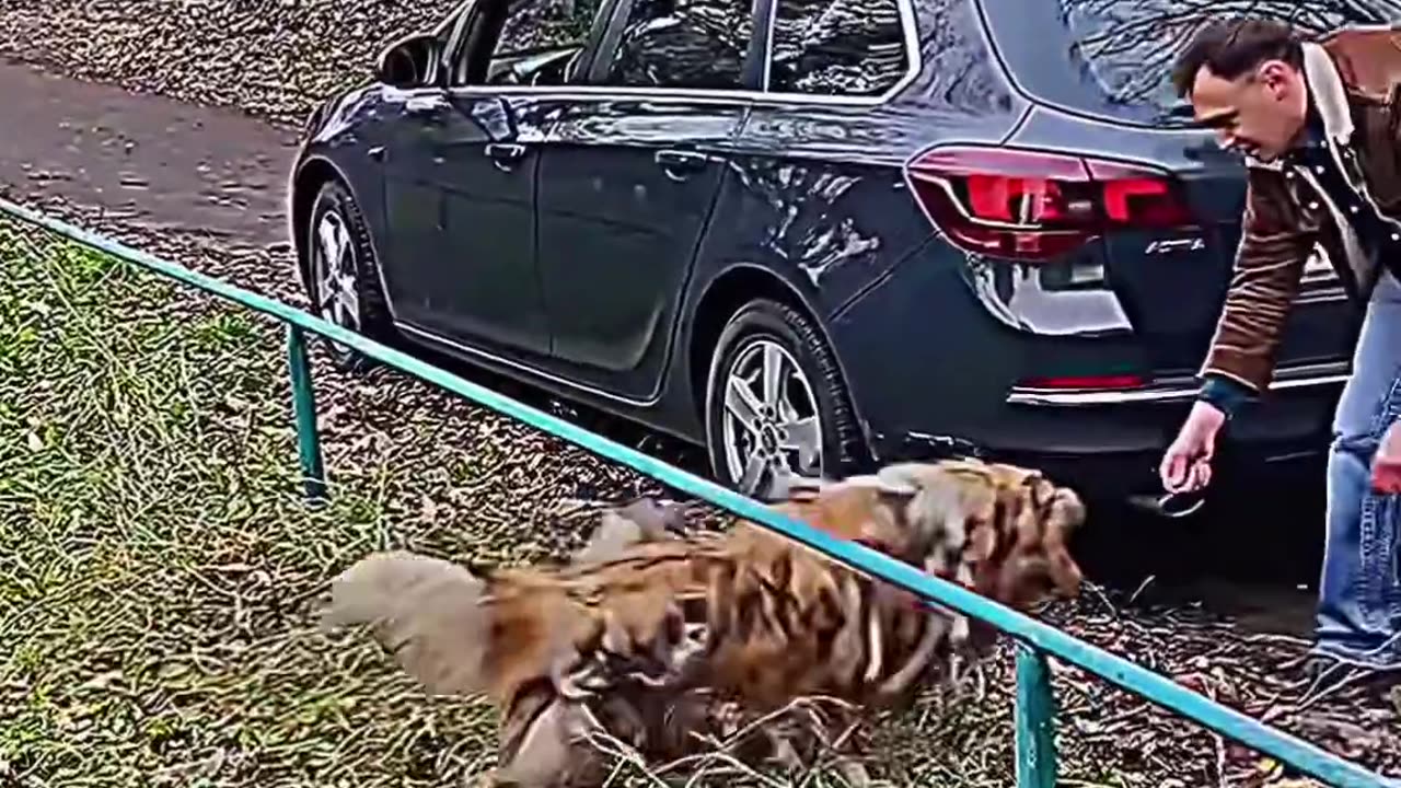 Respect