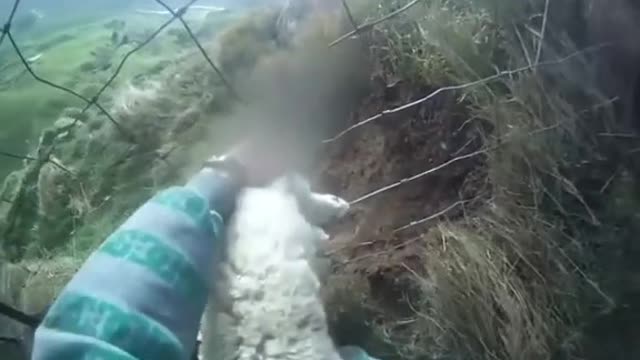 At least he saved the sheep 💀