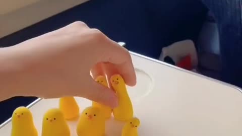 sooooooo cute ,who can refuse the cute duck ?